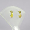 Woman Post Earrings-14K Gold Plate