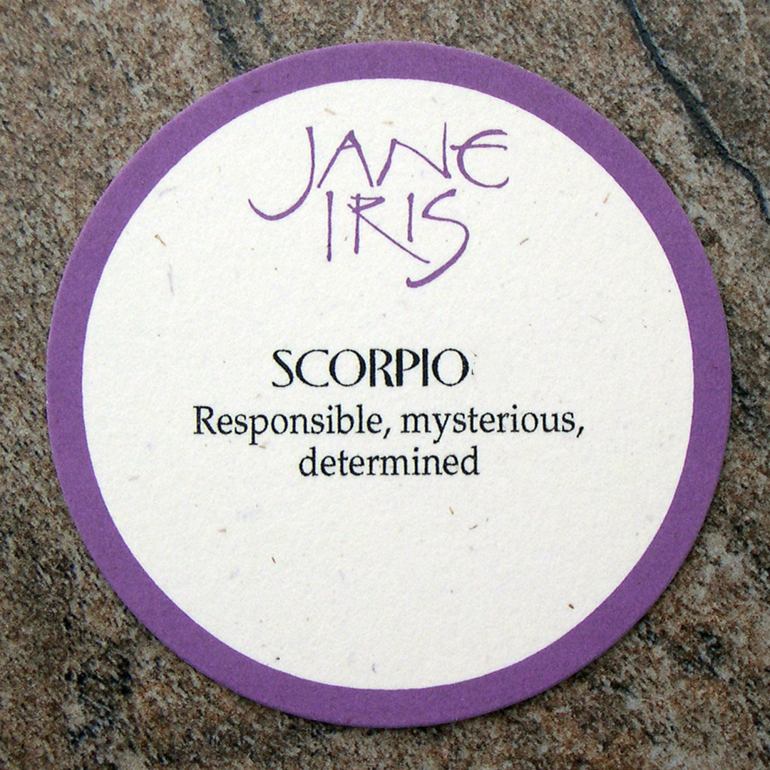 Zodiac-Scorpio Necklace - Jane Iris Designs